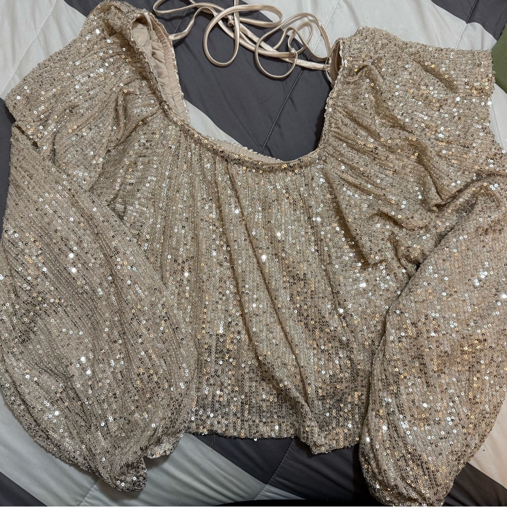 Mustard Seed Sparkling Beige Sequin Blouse